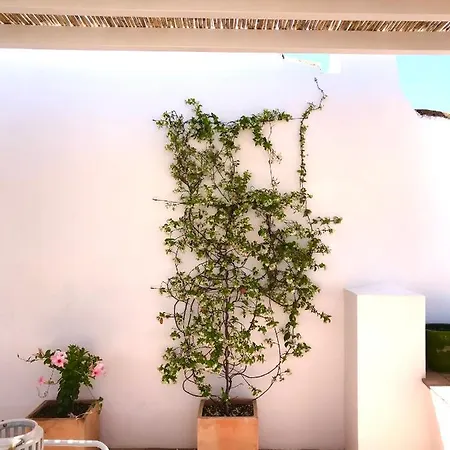 Casa Do Gilao Διαμέρισμα Ταβίρα