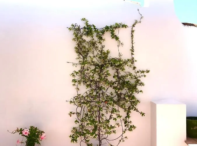 Casa Do Gilao Апартаменты Тавира